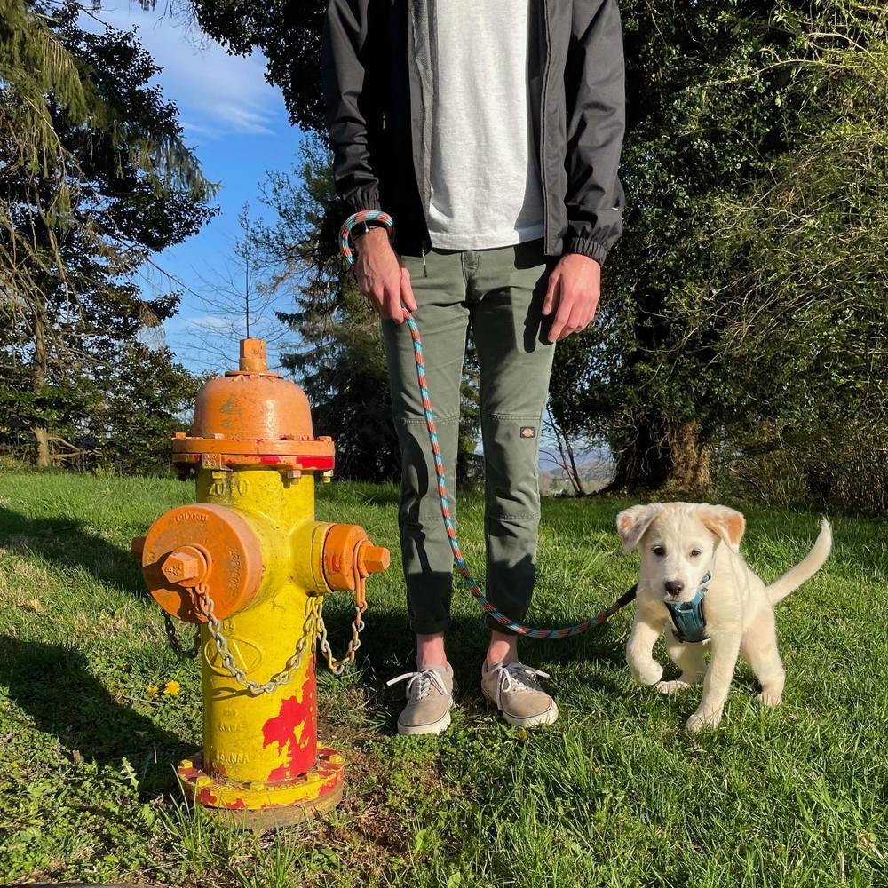 Meet your Posher, Matthew